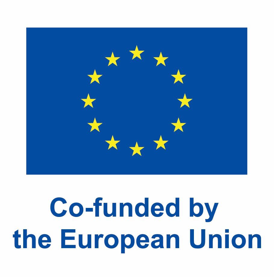 Co-funded by the European Union